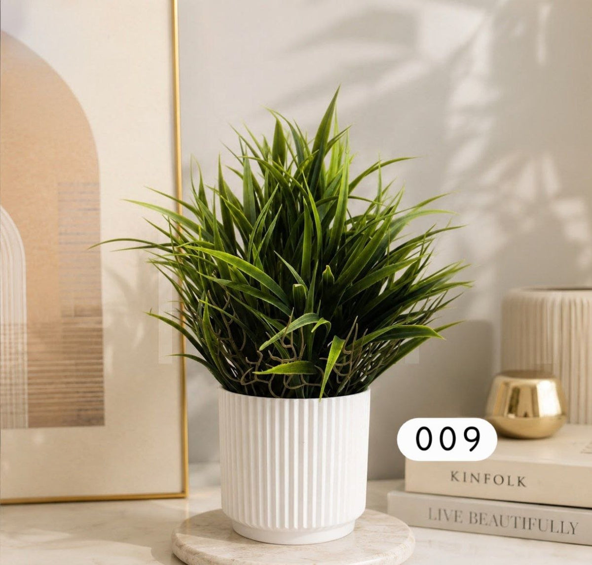 Fan Palm